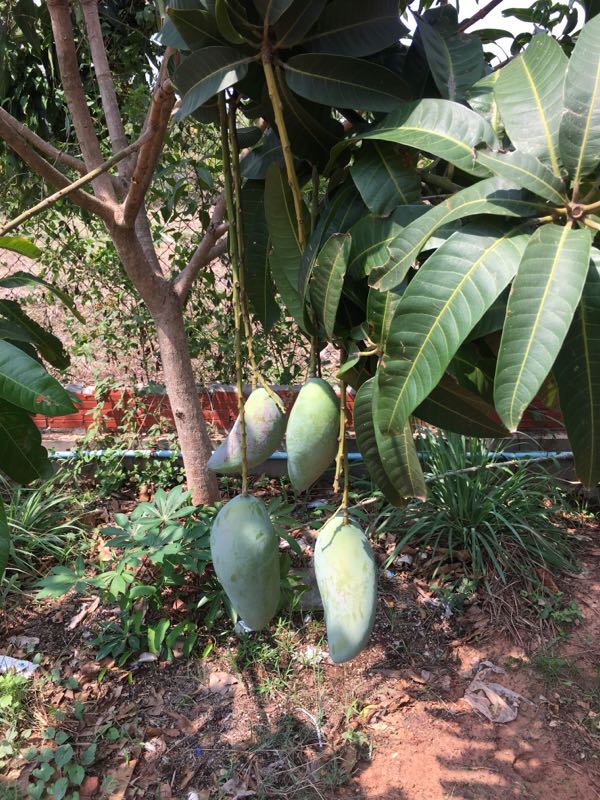 rblog-20190331175602-02.jpg