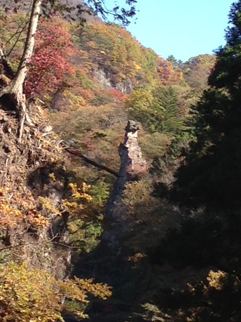 20121029harunajinjakeidaitooku.jpeg