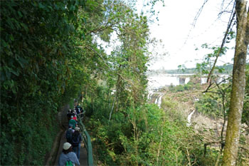 南米878.jpg