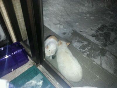 20130225_224719.jpg