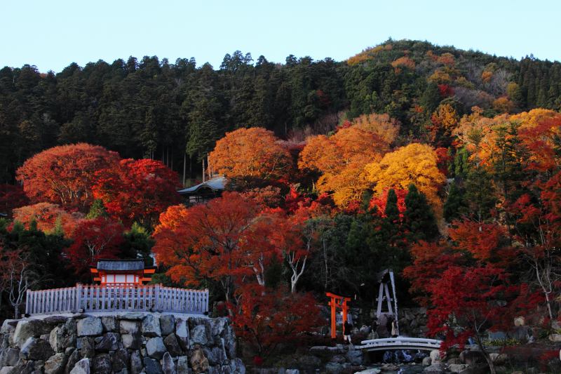勝尾寺_6-4.jpg