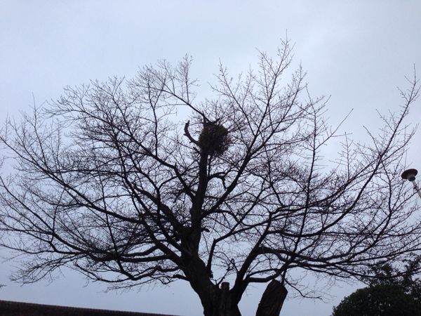 rblog-20140302021458-03.jpg