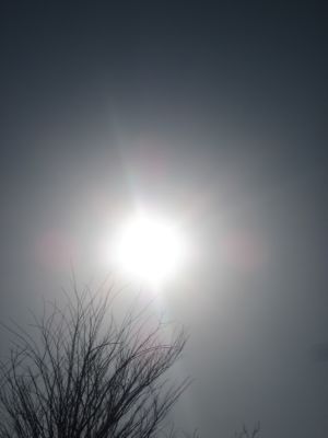 IMG_7979.JPG