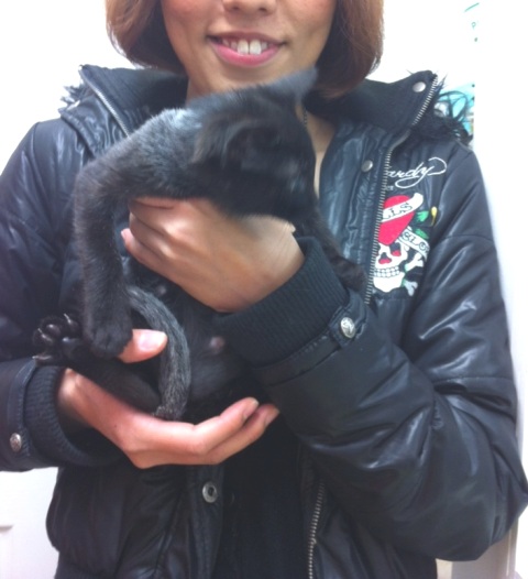 20121119ｸｵ03.jpg