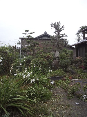 NCM_0181.JPG