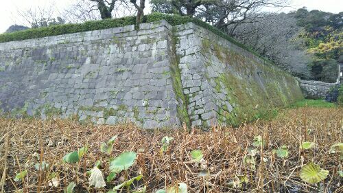 鹿児島(鶴丸)城20181223