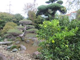 洛山1026 (1).JPG