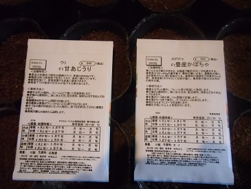 20130407うり・かぼちゃ.jpg