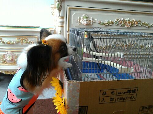 rblog-20160802130920-02.jpg