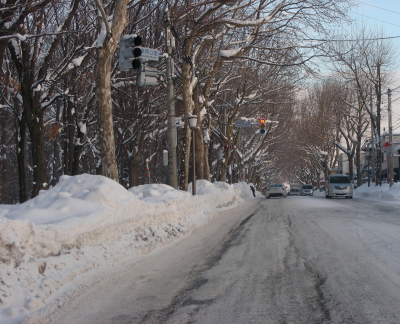 2016-01-16雪道.JPG