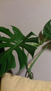 rblog-20130810231235-01.png