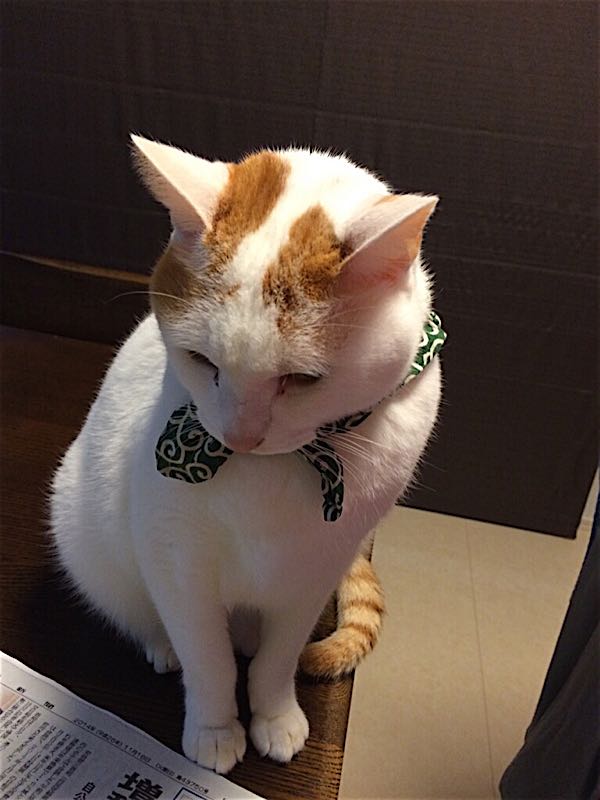 rblog-20141118063213-04.jpg