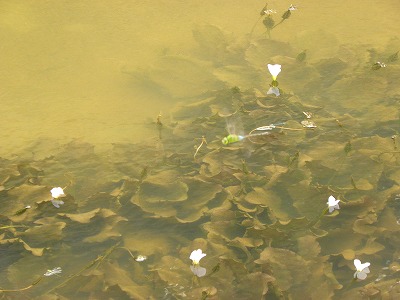 DSCN9942.jpg