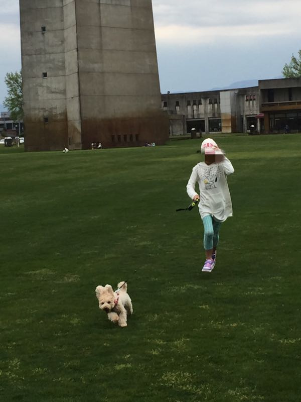 rblog-20160501181215-02.jpg