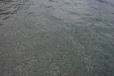 s-DSC_0548.jpg