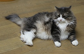 5DA_7129-24.jpg