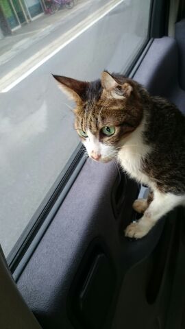 rblog-20141023003239-02.jpg