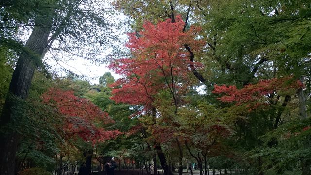 2015-11-22 09.36.25.jpg