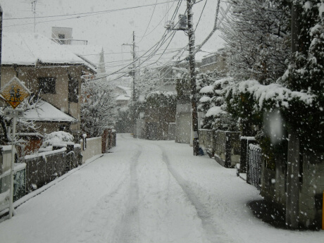 雪景色