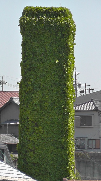 ヘデラに覆われた煙突　常滑やきもの散歩道