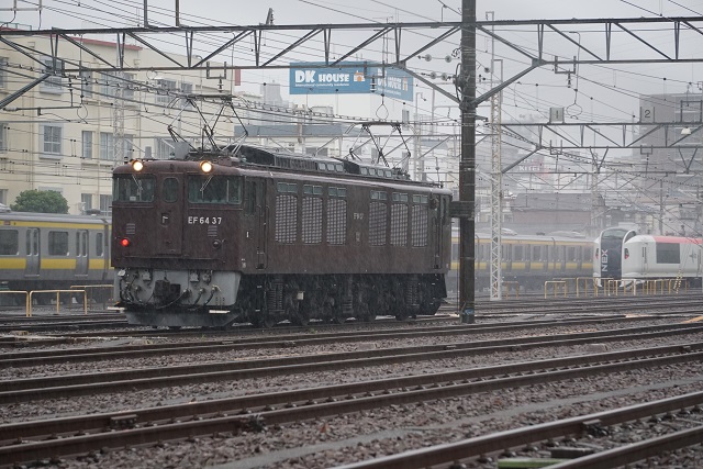EF64 1031牽引 常磐線E531系 K424編成 配給 & EF64 376