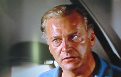 映画 眼下の敵 朝のリンゴは金 楽天ブログ