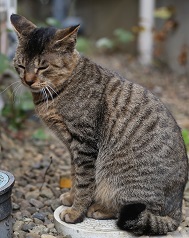 5DA_9220-14.jpg