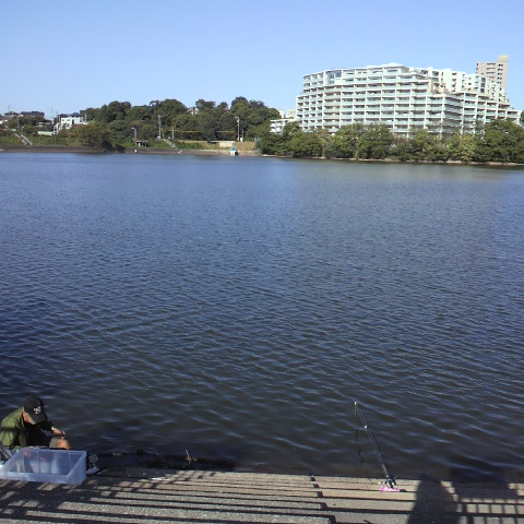 2013101308440000.jpg