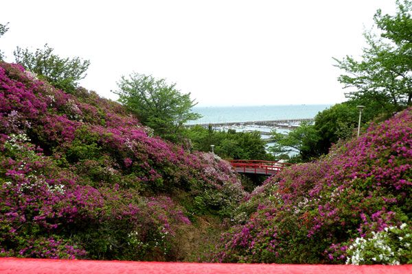 泉南の淡輪遊園 あたご山公園 と ぐる り 京のお散歩 楽天ブログ