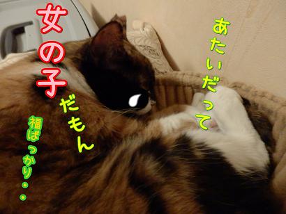 たあこ.JPG