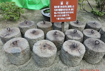 tameisi