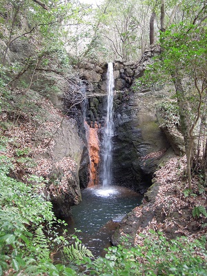 DSCN2797s.jpg
