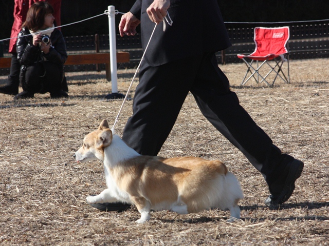 IMG_0450 - コピー.JPG