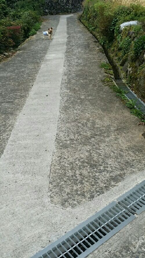 rblog-20151129180107-02.jpg