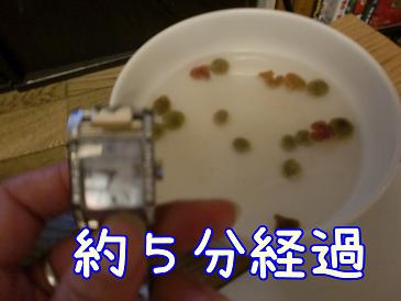 ５分.JPG