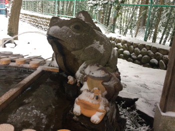 かえる.jpg