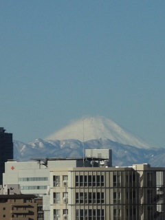 DSC01148.jpg