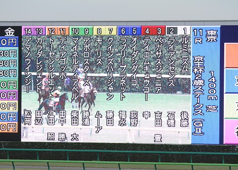 マイネルディアベル13.jpg