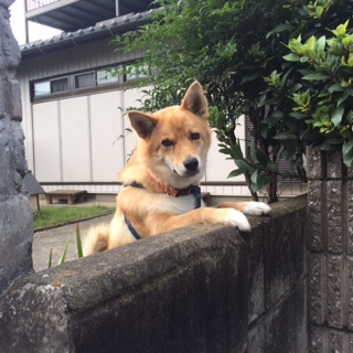 プーちゃん２.jpg