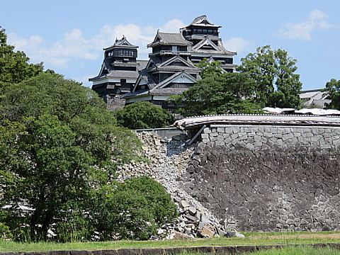 IMG_4830.jpg