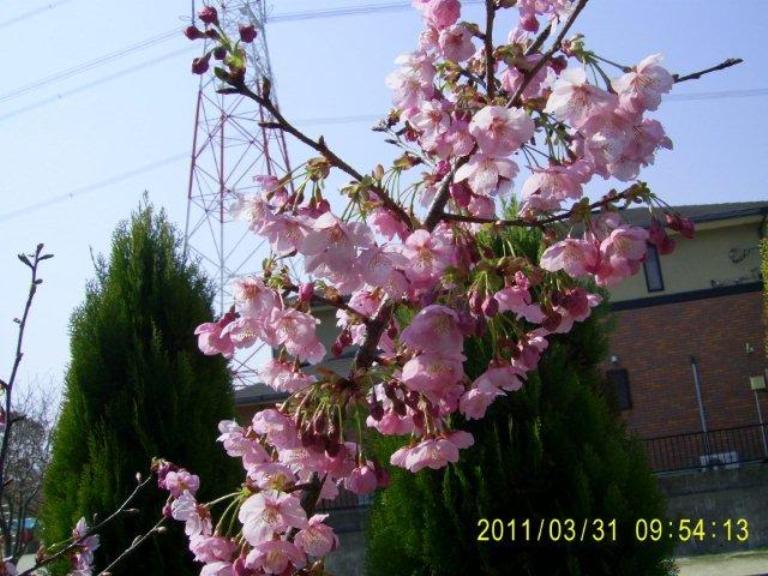 2011_0331_095316-PIC_0004.jpg