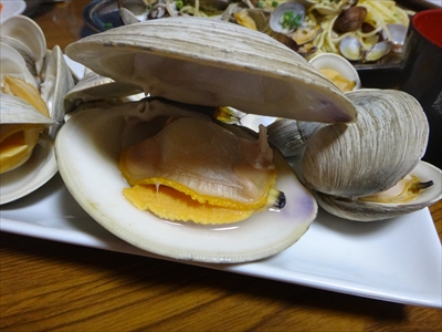 DSC00947_R.JPG