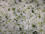 s-IMG_1924.jpg