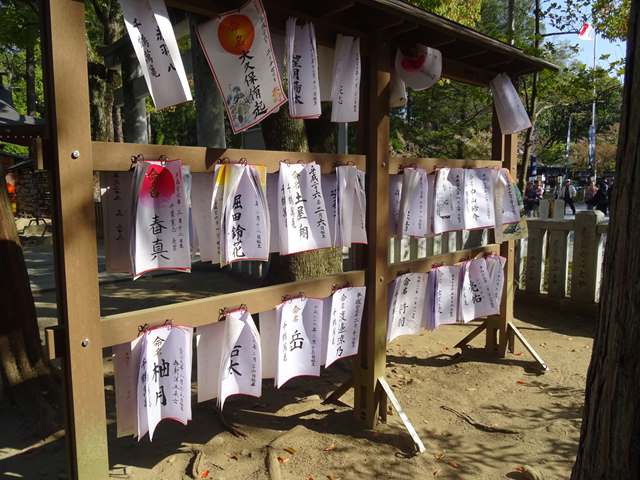 再び武田神社へ Jinさんの陽蜂農遠日記 楽天ブログ