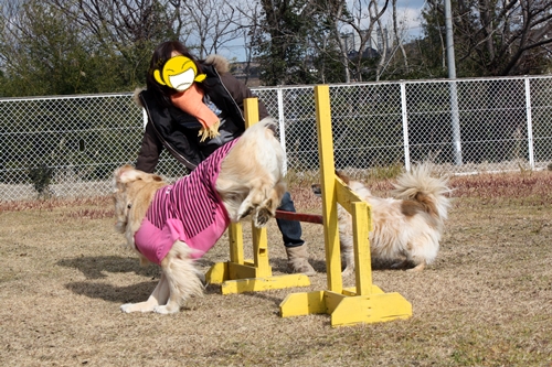 無理やり飛ぶ.JPG