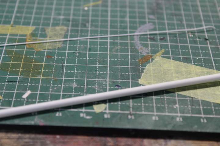 003.JPG