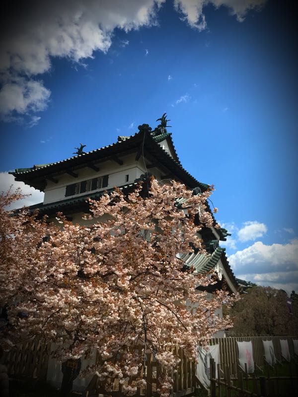 rblog-20180510102236-00.jpg