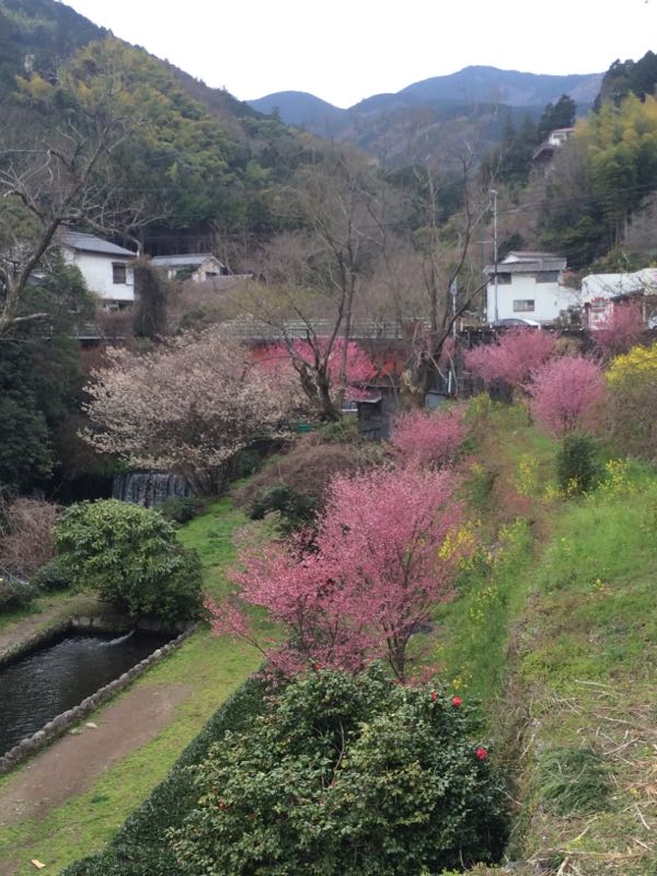 rblog-20160318070048-04.jpg