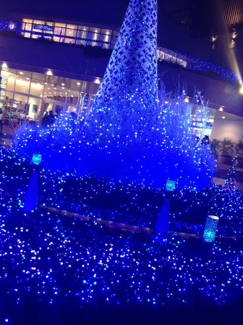 2012.11.14terasumoru.jpeg