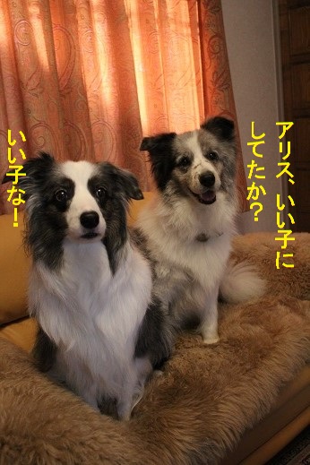 イイコ